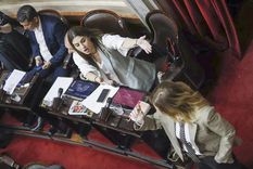 Marcela Pagano y Lilia Lemoine volvieron a cruzarse en el Congreso. Marcela Pagano y Lilia Lemoine volvieron a cruzarse en el Congreso.