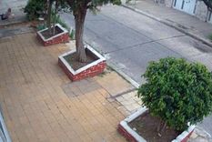 la persiguieron para robarle, le dispararon y la dejaron tirada