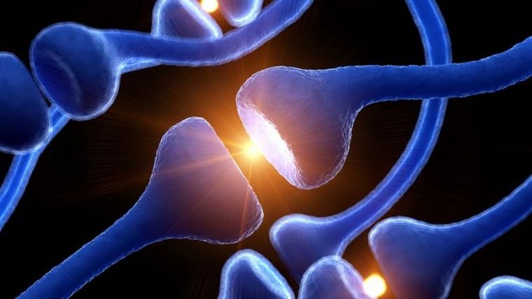 El fentanilo interactúa con los receptores de opioides que se encuentran en áreas del cerebro que controlan el dolor y las emociones. Foto: GETTY IMAGES