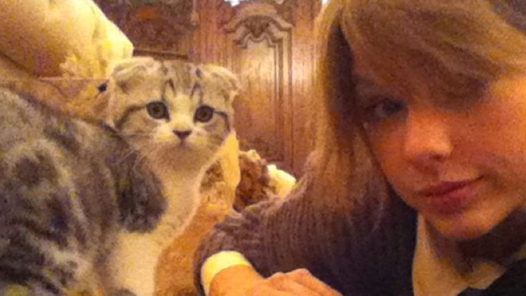 Foto: https://www.telemundo.com/entretenimiento/latinx-now-espanol/las-gatas-de-taylor-swift-le-tienen-envidia-sus-dedos-pulgares-tmna796251