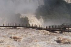 aumentan a 1.400 los damnificados por la crecida del rio parana