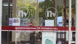 Instituto Nacional de Vitivinicultura.
