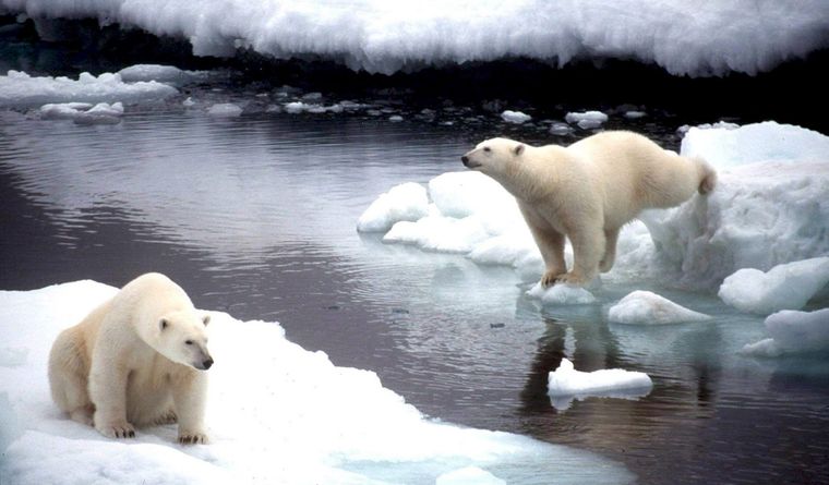 Lo que sucede en el Ártico, impacta en el sur de Asia. Foto: Efe.