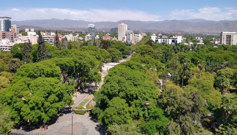 El arbolado de Mendoza fue evolucionando según las necesidades Foto: Prensa Gobierno de Mendoza