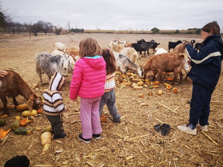 Pisar la materia fecal de los animales, tener contacto con ellos, es parte de la práctica. Foto: MDZ