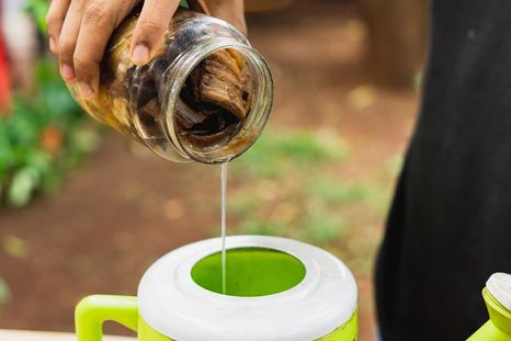 Podemos aprovechar diversos beneficios de este ingrediente para el jardín. Foto: Fuente: Shutterstock Podemos aprovechar diversos beneficios de este ingrediente para el jardín. Foto: Fuente: Shutterstock