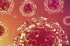 La nueva variante presenta 5 mutaciones, una de ellas inédita. Foto: GETTY IMAGES