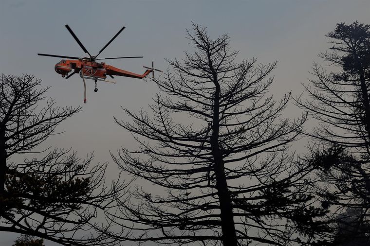 La situación con los incendios en el noreste de Ática (Grecia) sigue siendo difícil. Foto: EFE