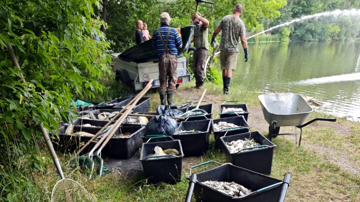 Cambio climático impactante: las olas de calor en la agricultura, la ganadería y la pesca