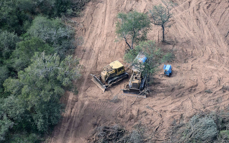 Foto: Martin Katz / Greenpeace