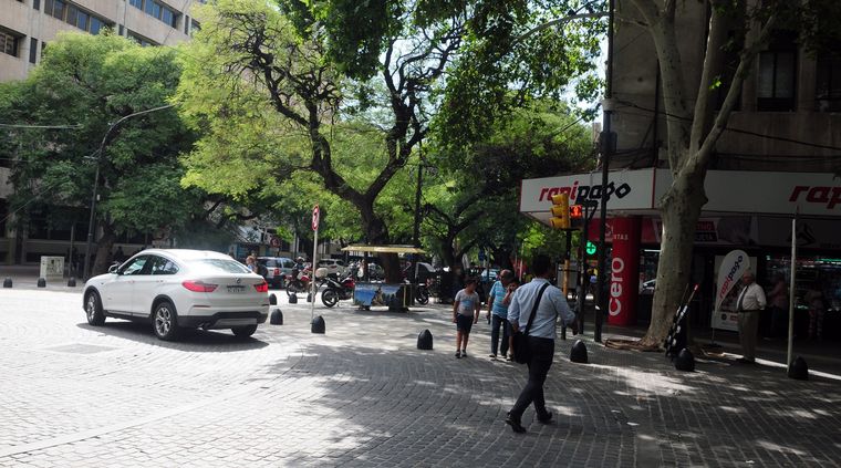 Foto: ALF PONCE / MDZ