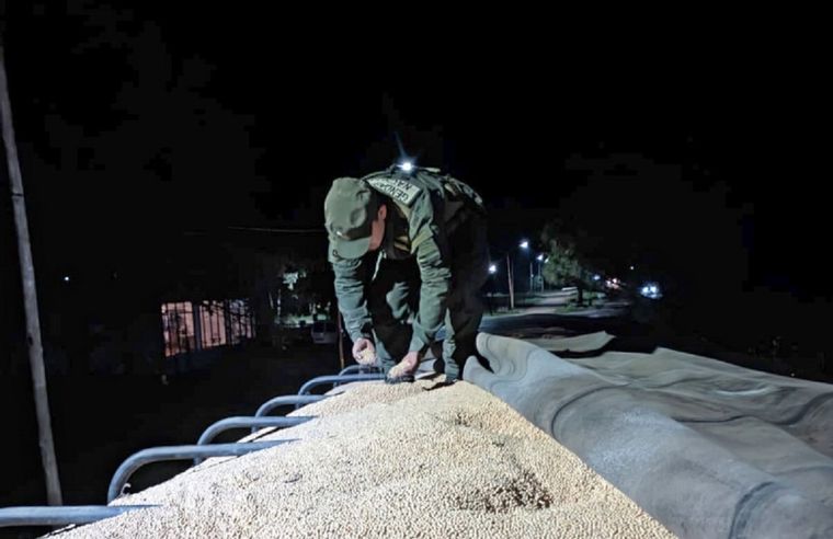 Oficial de Gendarmería requisa el camión que transportaba legumbres ilegalmente. Foto: Gendarmería Nacional