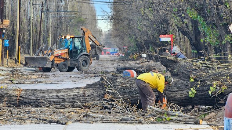 Vistalba y Chacras fueron los distritos más afectados en Luján. Foto: Luján de Cuyo