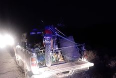 detuvieron a 4 personas con 300 kilos de carne de guanaco en las heras