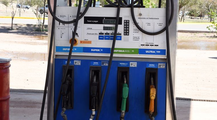 Foto: ALF PONCE MERCADO / MDZ