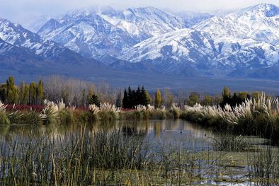 MDZol | Zona aislada El abuso se habría producido en un área bastante agreste. Imagen ilustrativa. Foto: ALF PONCE / MDZ