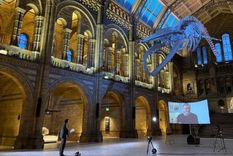 Justin Rowlatt entrevistando a Gates desde el Museo de Historia Natural de Londres. Foto: Foto: BBC Mundo