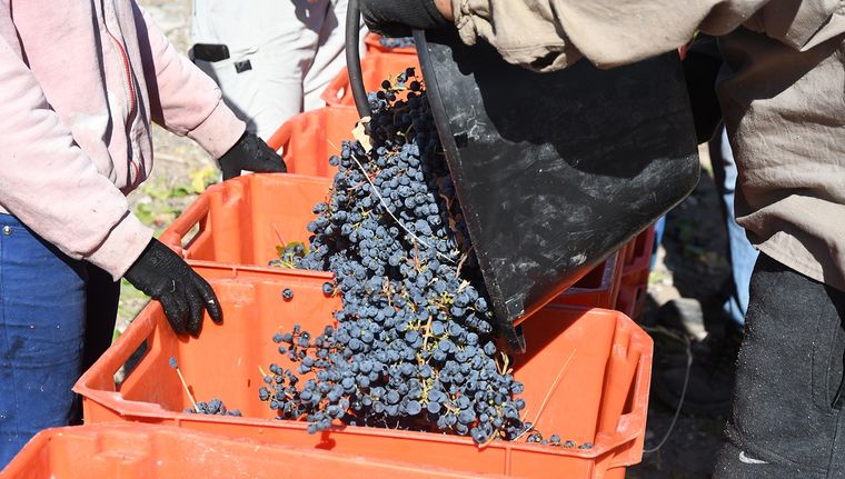 Foto: Rodrigo DAngelo / MDZ