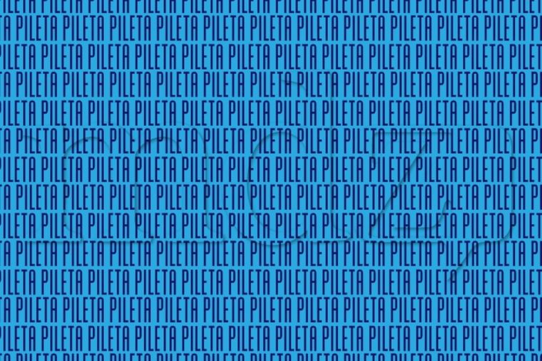 Acertijo visual Acertijo visual, Reto visual, palabra Foto: MDZ Online