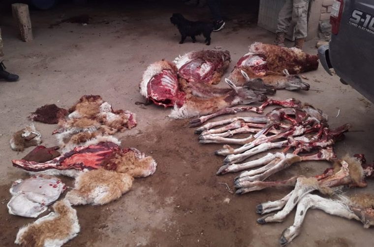 Una imagen del allanamiento.