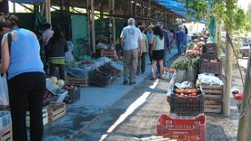 Feria del Ahorro en Godoy Cruz. Feria del Ahorro en Godoy Cruz.