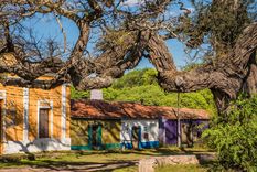 Ischilín conserva intactas las postales coloniales del Camino Real, entre aljibes, pulperías y un algarrobo de 400 años.