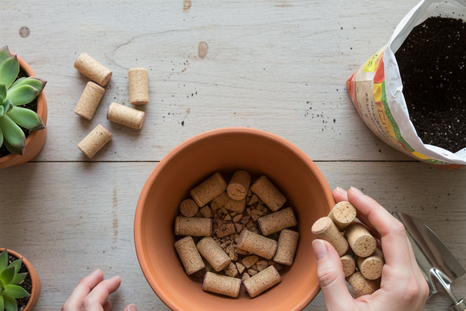 Un truco que pocos conocen. Fuente: IA Gemini. Un truco que pocos conocen. Fuente: IA Gemini.