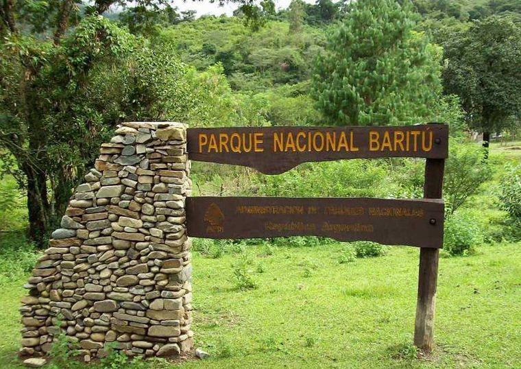 El animal fue avistado en el Parque Nacional Baritú.