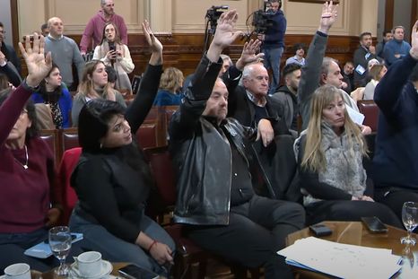 El peronismo logró 9 votos en la Comisión de Trabajo del Senado.