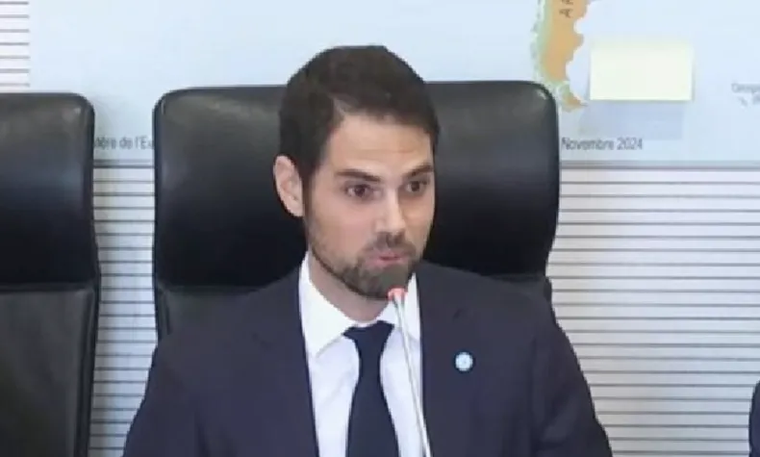 Ian Zielecki, embajador argentino en Francia, durante su exposición en la Asamblea Nacional.