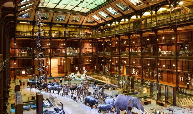 Museo Nacional de la Historia Natural de París. Foto: X. Museo Nacional de la Historia Natural de París. Foto: X.