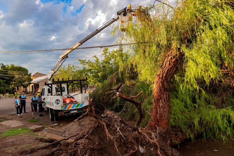Desde la Municipalidad de Maipú informaron cuáles fueron las labores que se realizaron por la tormenta. Los detalles.