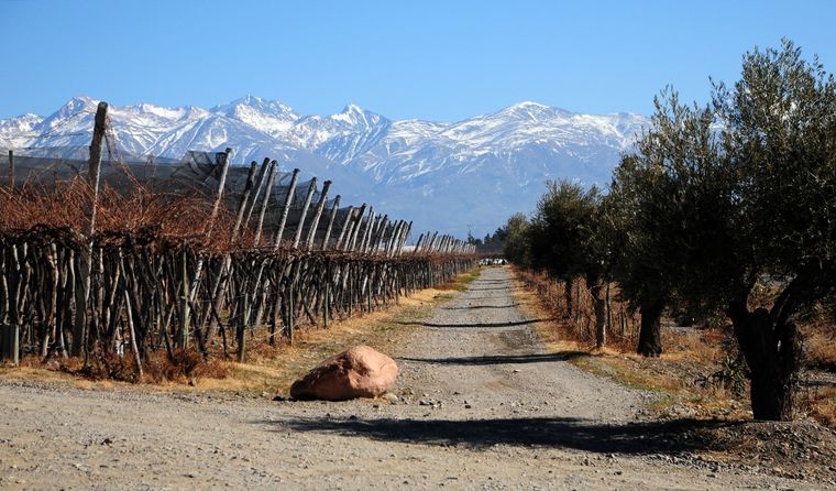 La oferta de trabajo incluye varios puestos disponibles.