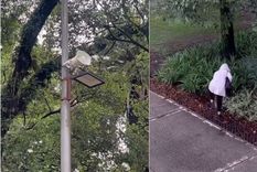 Con cámaras y altavoces buscan prevenir el vandalismo en las plazas de San Miguel de Tucumán. Foto: Captura de video