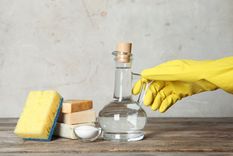 LIMPIAR EL VINAGRE BLANCO ES UNO DE LOS PRODUCTOS INFALTABLES EN LA LIMPIEZA DEL HOGAR Foto: SHUTTERSTOCK