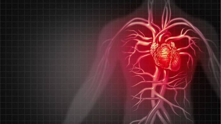 La biodescodificación busca sanar a través de las emociones. La biodescodificación busca sanar a través de las emociones. 