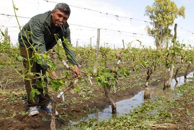 MDZol | Foto: Gonzalo Bravo / mdz