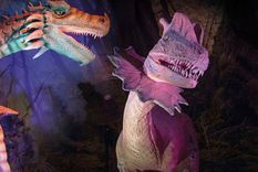 La muestra de dinosaurios es para toda la familia Foto: IG dinoxperience.cl