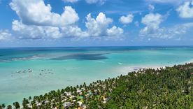 Esta playa de Brasil es la opción ideal para ir en cualquier época del año. Esta playa de Brasil es la opción ideal para ir en cualquier época del año.