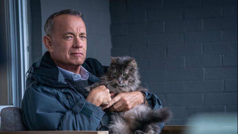 Tom Hanks protagoniza esta película.