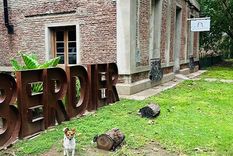 Berdier es un pueblo de Buenos Aires donde las diagonales y las calles arboladas forman una de sus imágenes más reconocibles.