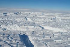 el jardin oculto bajo el hielo de la antartida