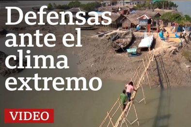 MDZol | Foto: BBC MUNDO