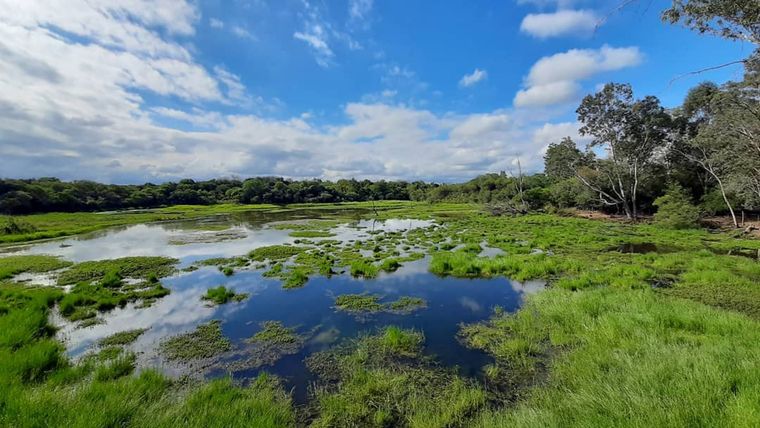 En Entre Ríos este atractivo natural sorprende con sus paisajes Foto: Ruta Natural