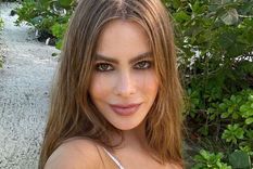 Sofía Vergara deslumbró posando en una bañera y sin una gota de maquillaje. Foto: Sofía Vergara  / Instagram