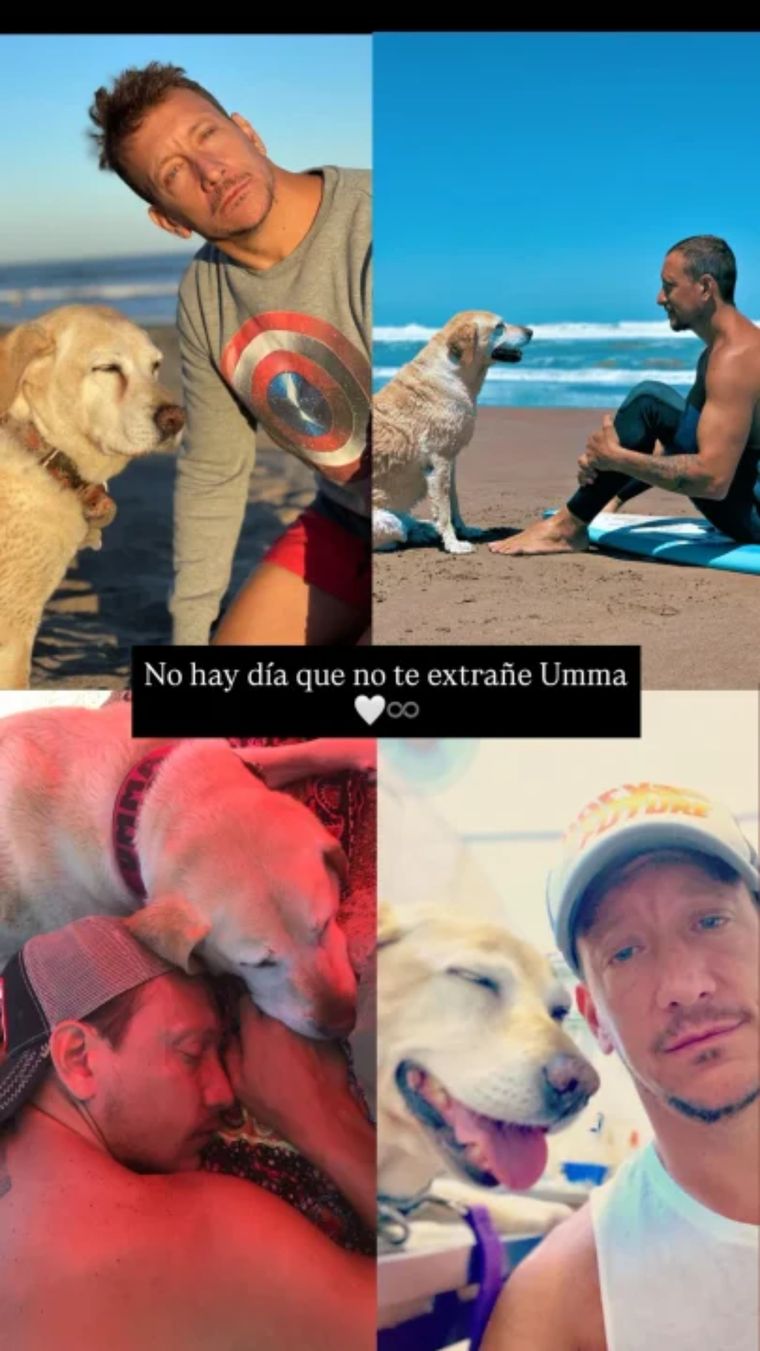 El emotivo posteo que hizo el actor sobre su perra Umma. El emotivo posteo que hizo el actor sobre su perra Umma.
