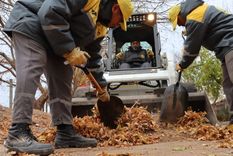 El informe de la OIT detalla también los retos para hacer efectiva la transición a la modernidad en el trabajo.
