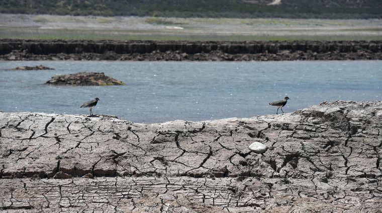 Foto: ALF PONCE MERCADO / MDZ