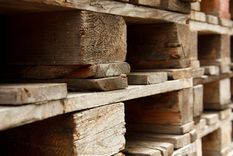 los tres pedidos del sector maderero al nuevo gobierno