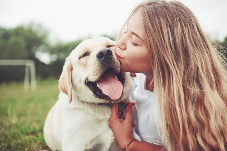 MASCOTAS REACCIÓN DE LOS PERROS AL RECIBIR UN BESO Foto: Shutterstock